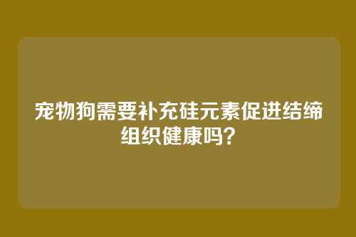 宠物狗需要补充硅元素促进结缔组织健康吗？