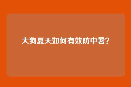 大狗夏天如何有效防中暑？