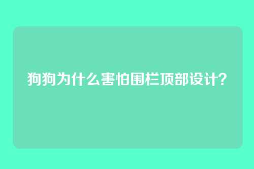 狗狗为什么害怕围栏顶部设计？