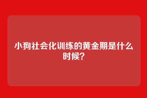 小狗社会化训练的黄金期是什么时候？