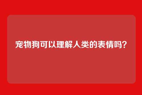 宠物狗可以理解人类的表情吗？