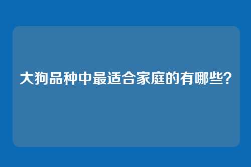 大狗品种中最适合家庭的有哪些？