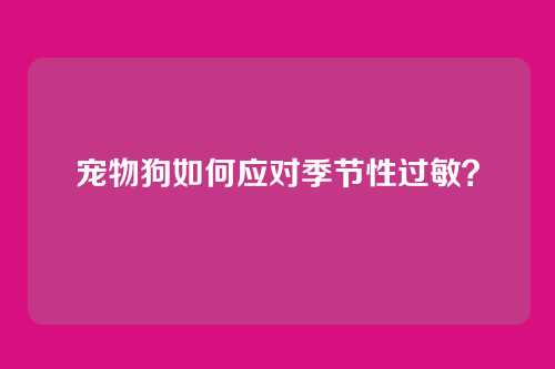宠物狗如何应对季节性过敏？