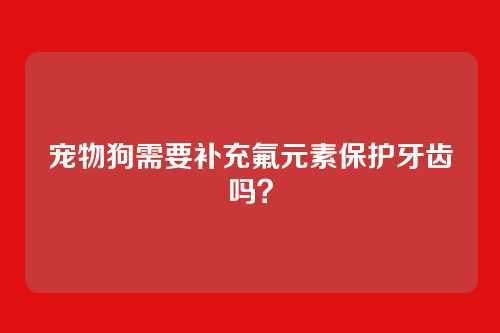 宠物狗需要补充氟元素保护牙齿吗？