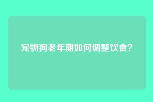 宠物狗老年期如何调整饮食？