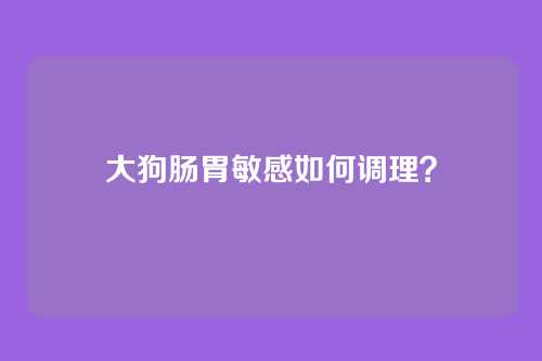大狗肠胃敏感如何调理？