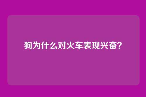 狗为什么对火车表现兴奋？