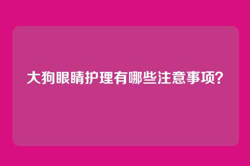 大狗眼睛护理有哪些注意事项？