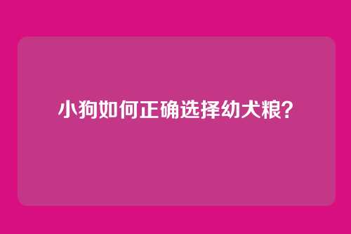 小狗如何正确选择幼犬粮？