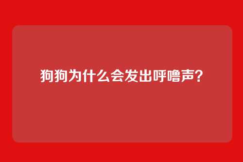 狗狗为什么会发出呼噜声？