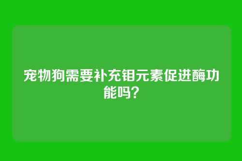宠物狗需要补充钼元素促进酶功能吗？