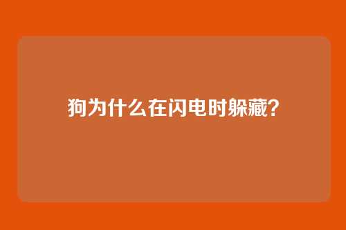 狗为什么在闪电时躲藏？