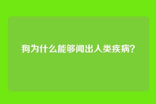 狗为什么能够闻出人类疾病？