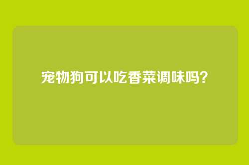 宠物狗可以吃香菜调味吗？