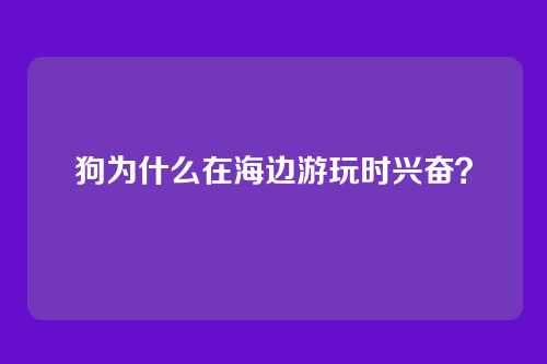 狗为什么在海边游玩时兴奋？