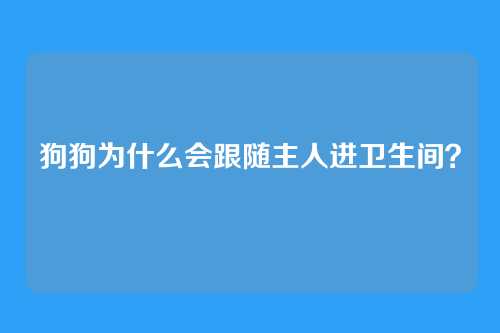 狗狗为什么会跟随主人进卫生间？