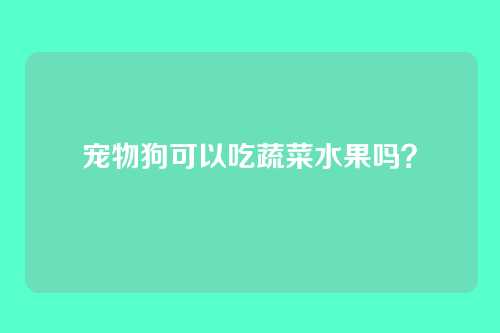 宠物狗可以吃蔬菜水果吗？