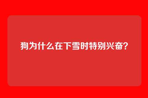狗为什么在下雪时特别兴奋？
