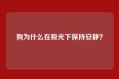 狗为什么在极光下保持安静？