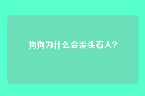 狗狗为什么会歪头看人？