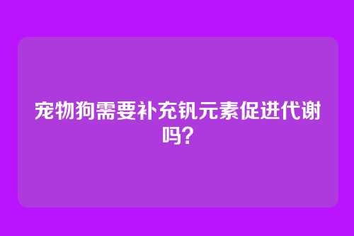 宠物狗需要补充钒元素促进代谢吗？