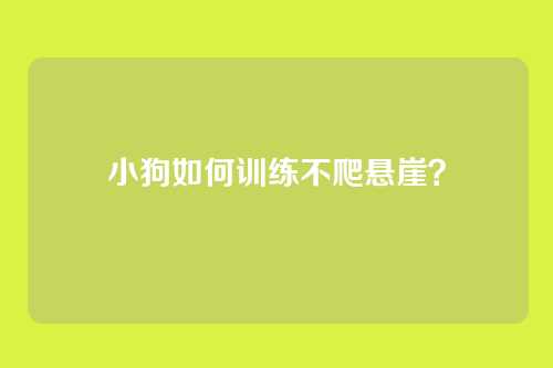 小狗如何训练不爬悬崖？
