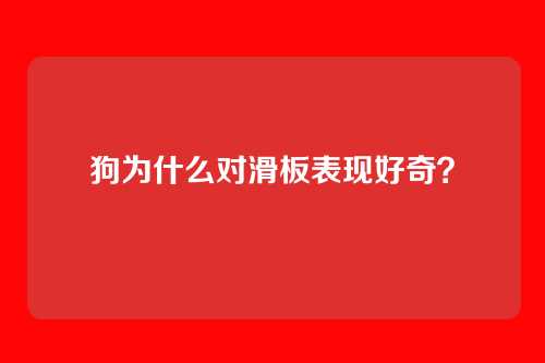 狗为什么对滑板表现好奇？