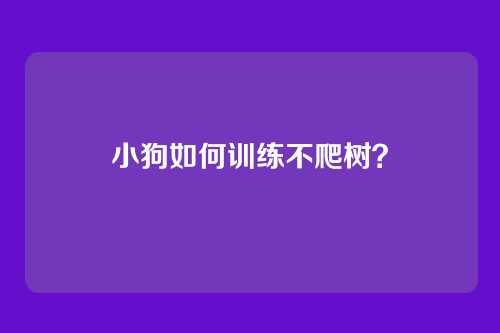 小狗如何训练不爬树？