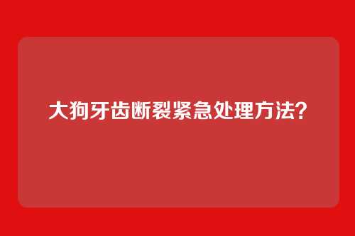 大狗牙齿断裂紧急处理方法？