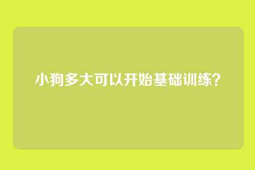 小狗多大可以开始基础训练？