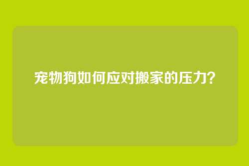 宠物狗如何应对搬家的压力？