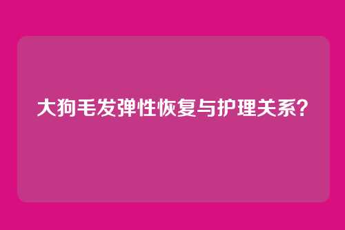 大狗毛发弹性恢复与护理关系？