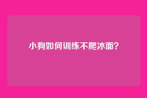小狗如何训练不爬冰面？