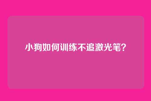 小狗如何训练不追激光笔？