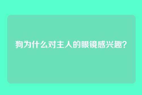 狗为什么对主人的眼镜感兴趣？
