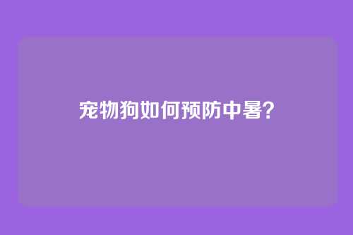 宠物狗如何预防中暑？