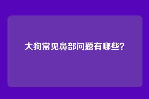 大狗常见鼻部问题有哪些？