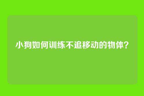 小狗如何训练不追移动的物体？