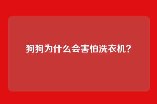 狗狗为什么会害怕洗衣机？