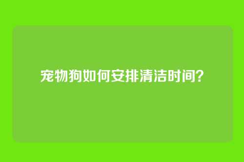 宠物狗如何安排清洁时间？