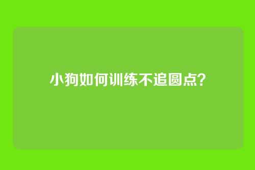 小狗如何训练不追圆点？