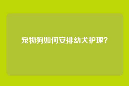 宠物狗如何安排幼犬护理？