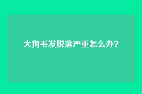 大狗毛发脱落严重怎么办？