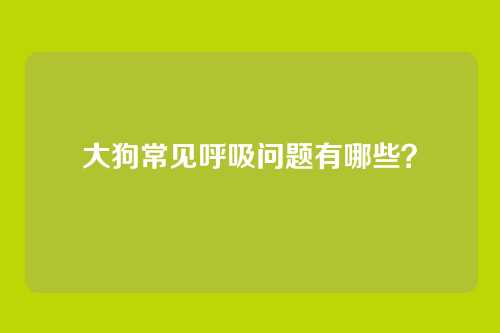 大狗常见呼吸问题有哪些？