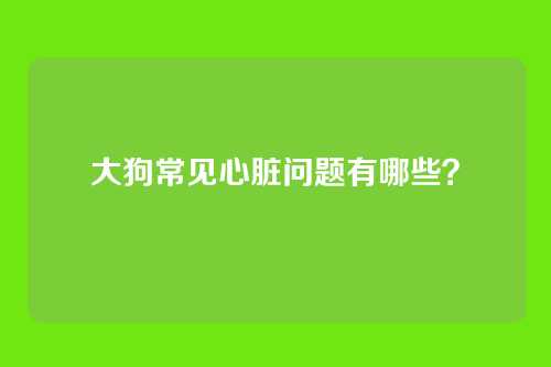 大狗常见心脏问题有哪些？