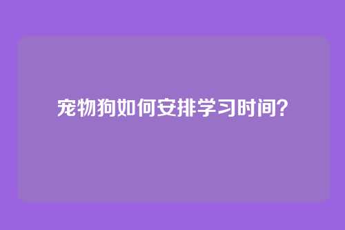 宠物狗如何安排学习时间？