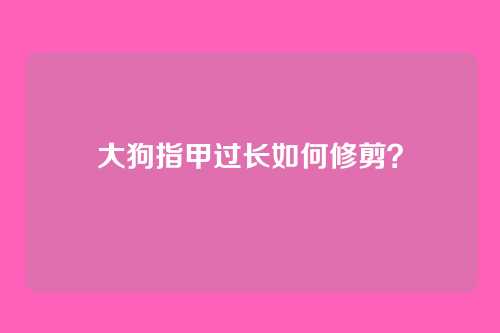 大狗指甲过长如何修剪？