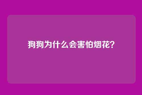 狗狗为什么会害怕烟花？