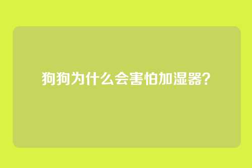 狗狗为什么会害怕加湿器？