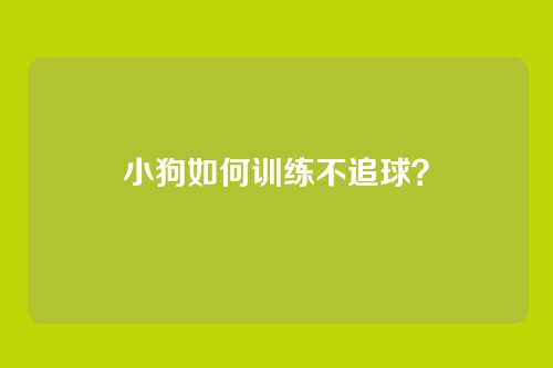 小狗如何训练不追球?